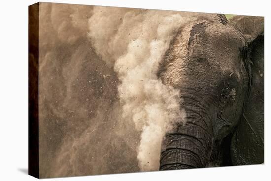 Elephant Dust Bathing-Martin Harvey-Premier Image Canvas