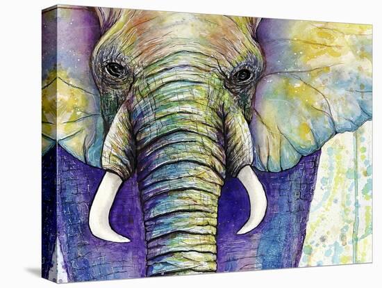 Elephant Face-Michelle Faber-Premier Image Canvas