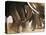 Elephant Herd on the Move-Martin Harvey-Premier Image Canvas