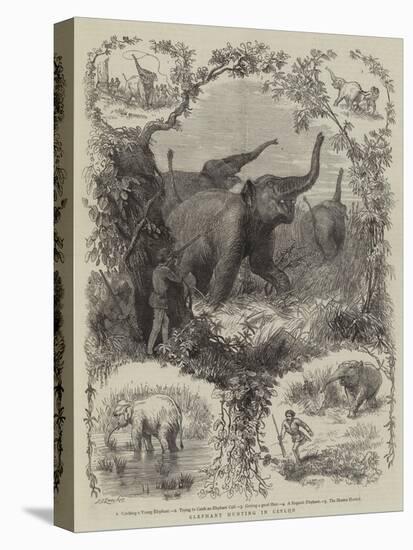 Elephant Hunting in Ceylon-null-Premier Image Canvas