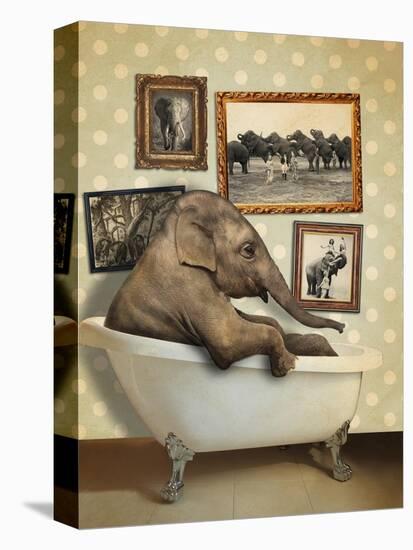 Elephant in Tub-J Hovenstine Studios-Premier Image Canvas