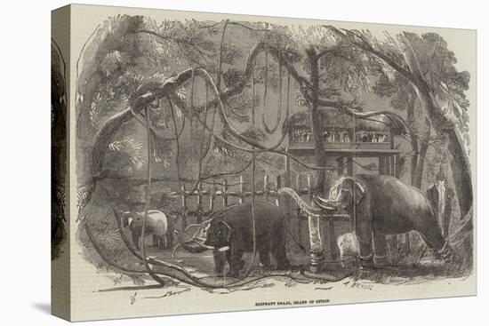 Elephant Kraal, Island of Ceylon-null-Premier Image Canvas