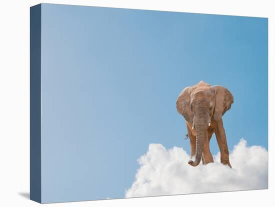 Elephant On Cloud In Sky, Outdoor-Aaron Amat-Premier Image Canvas