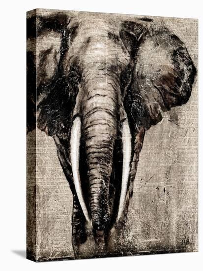 Elephant on Newspaper-Patricia Pinto-Stretched Canvas