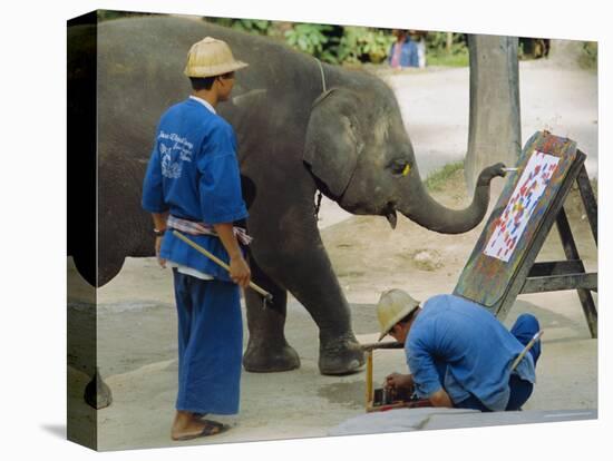 Elephant Painting with His Trunk, Mae Sa Elephant Camp, Chiang Mai, Thailand, Asia-Bruno Morandi-Premier Image Canvas