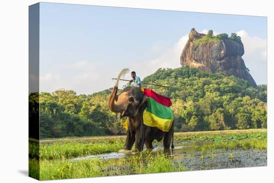 Elephant ride with Lion Rock, Ancient Rock Fortress behind, Sigiriya, Sri Lanka-Peter Adams-Premier Image Canvas