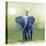 Elephant Ride-Nancy Tillman-Stretched Canvas