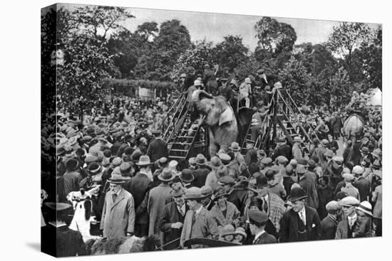 Elephant Rides at London Zoo, 1926-1927-McLeish-Premier Image Canvas