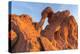 Elephant Rock at Valley of the Fire State Park, Nevada, USA-Chuck Haney-Premier Image Canvas