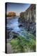 Elephant Rock, Ballintoy, County Antrim, Ulster, Northern Ireland, United Kingdom, Europe-Carsten Krieger-Premier Image Canvas