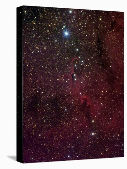 Elephant's Trunk Nebula Inside IC 1396-Stocktrek Images-Premier Image Canvas