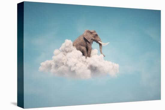 Elephant sitting on a cloud in the sky-Mihaela Rosu-Stretched Canvas