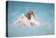 Elephant sitting on a cloud in the sky-Mihaela Rosu-Stretched Canvas