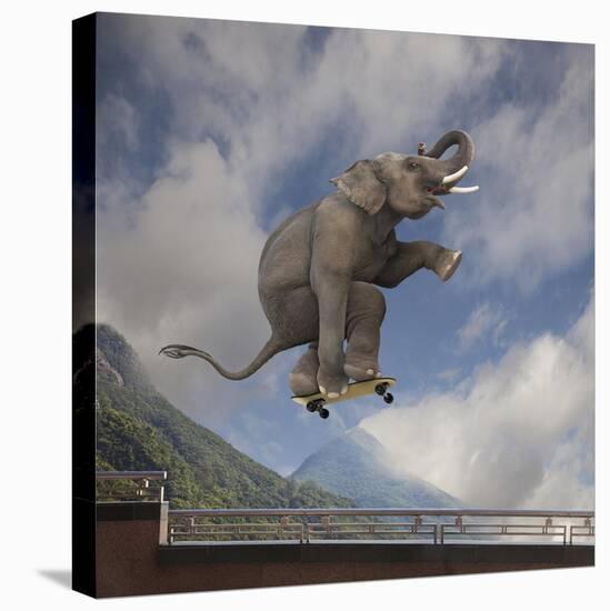 Elephant skateboarding-Lund-Roeser-Stretched Canvas