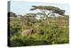Elephant Walks Through Jungle Landscape, Ngorongoro, Tanzania-James Heupel-Premier Image Canvas
