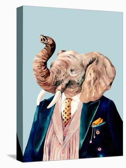 Elephant-Animal Crew-Stretched Canvas