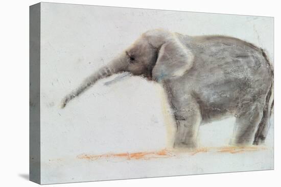 Elephant-Jung Sook Nam-Premier Image Canvas