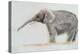 Elephant-Jung Sook Nam-Premier Image Canvas