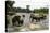 Elephants Bathing in the River at the Pinnewala Elephant Orphanage, Sri Lanka, Asia-John Woodworth-Premier Image Canvas