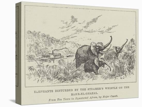 Elephants Disturbed by the Steamer's Whistle on the Bahr-El-Ghazal-null-Premier Image Canvas