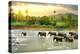 Elephants in River-Givaga-Premier Image Canvas