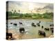 Elephants in Water-Givaga-Premier Image Canvas