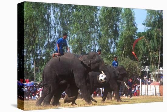 Elephants Playing Soccer, Elephant Round-Up, Surin, Thailand-null-Premier Image Canvas