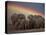 Elephants Taking Mud Bath-Jim Zuckerman-Premier Image Canvas