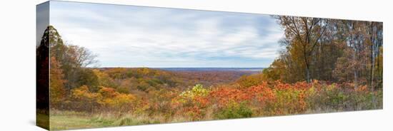 Elevated view of autumn trees, Brown County State Park, Brown County, Indiana, USA-null-Stretched Canvas