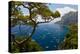 Elevated view of blue waters of the City of Capri, an Italian island off the Sorrentine Peninsul...-null-Premier Image Canvas