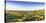 Elevated view of golf course, Sun City, Tucson, Arizona, USA-Panoramic Images-Premier Image Canvas