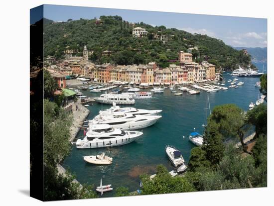 Elevated view of the Portofino, Liguria, Italy-null-Premier Image Canvas