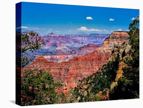 Elevated view of the rock formations in a canyon, Yavapai Point, South Rim, Grand Canyon Nationa...-null-Premier Image Canvas