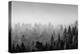 Elevated view of trees, Baden-Wurttemberg, Germany-Panoramic Images-Premier Image Canvas