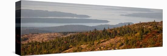 Elevated view of trees, Mount Desert Island, Acadia National Park, Hancock County, Maine, USA-null-Premier Image Canvas