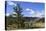 Elevated View Towards Turtle Rock and Distant Mountains, Mongolia-Eleanor Scriven-Premier Image Canvas