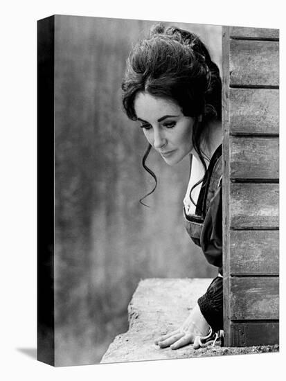 Elizabeth Taylor in 'The Taming of the Shrew' (photo)-null-Stretched Canvas