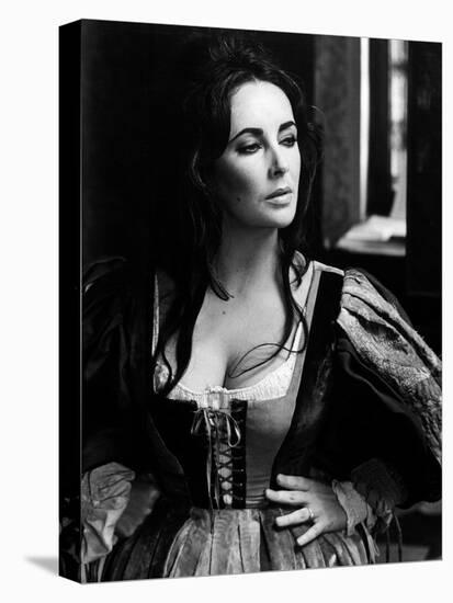 Elizabeth Taylor in 'The Taming of the Shrew'-null-Stretched Canvas