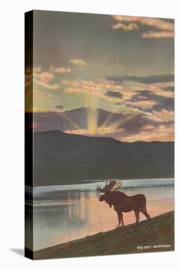 Elk at Sunset, Big Sky, Montana-null-Stretched Canvas