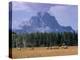 Elk Grazing in Foreground with Mt. Moran in the Background-Eliot Elisofon-Premier Image Canvas