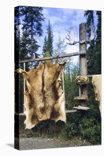 Elk Hide over Wooden Rack for Easy Scraping and Tanning. Alaska-Angel Wynn-Premier Image Canvas