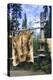 Elk Hide over Wooden Rack for Easy Scraping and Tanning. Alaska-Angel Wynn-Premier Image Canvas