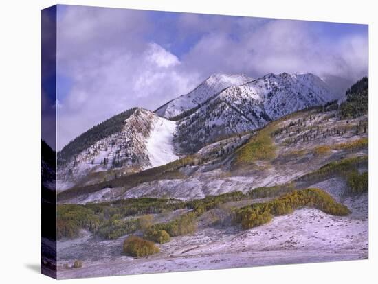 Elk Mountains with snow in autumn, Colorado-Tim Fitzharris-Stretched Canvas