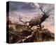 Elk Passage-Steve Hunziker-Stretched Canvas