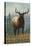 Elk Scene - Grand Lake, Colorado-Lantern Press-Stretched Canvas