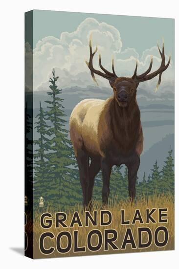 Elk Scene - Grand Lake, Colorado-Lantern Press-Stretched Canvas