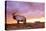 Elk Sunrise in Canyonland-Gordon Semmens-Premier Image Canvas