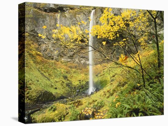 Elowah Falls in Autumn, Columbia Gorge National Scenic Area, Oregon, USA-Stuart Westmoreland-Premier Image Canvas