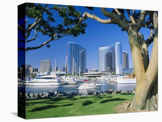 Embarcadero Marina, San Diego, California, USA-Ruth Tomlinson-Premier Image Canvas