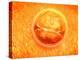 Embryo Development 24-36 Hours after Fertilization-null-Stretched Canvas